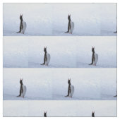 Gentoo penguin stoff (Muster)