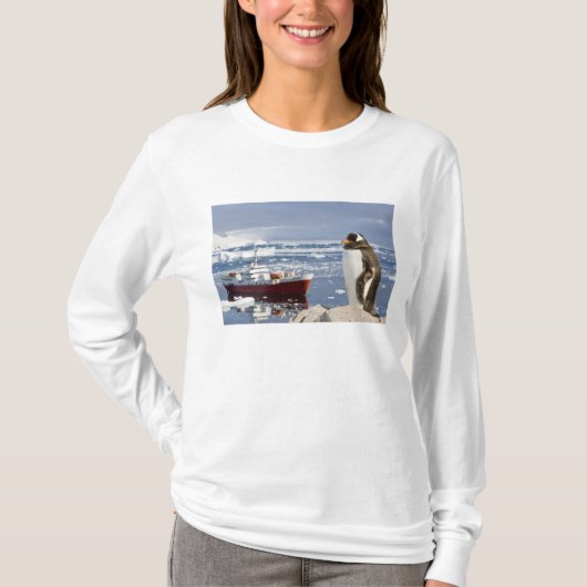 Gentoo Penguin T-Shirt (Vorderseite)