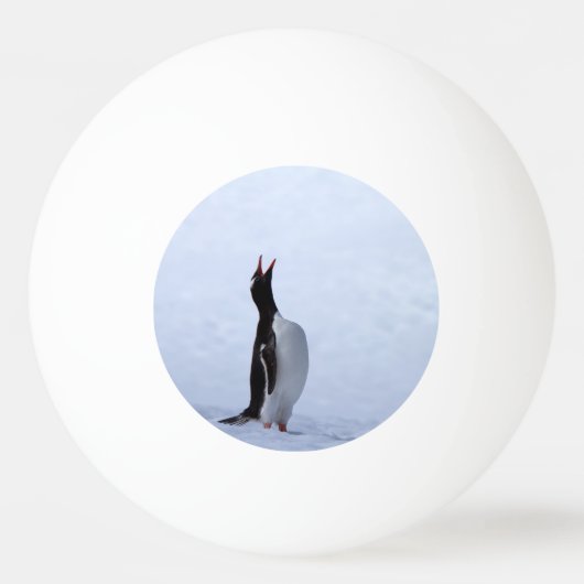 Gentoo penguin tischtennisball (Vorderseite)