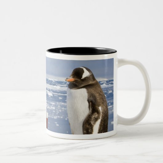 Gentoo Penguin Zweifarbige Tasse (Rechts)