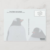 Gentoo Penguins, Antarktische Halbinsel Postkarte (Rückseite)