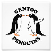 Gentoo Penguins Fotodruck (Vorne)