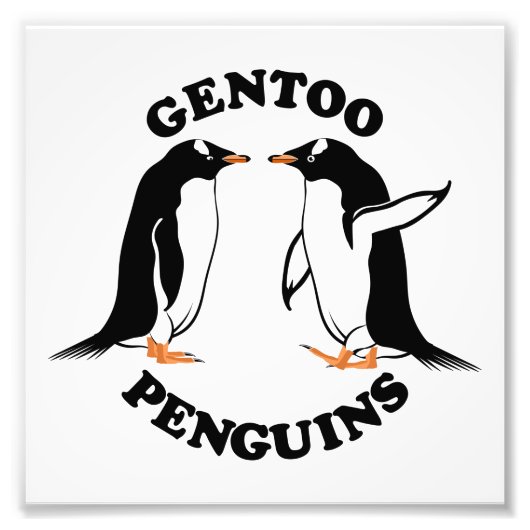 Gentoo Penguins Fotodruck (Vorne)
