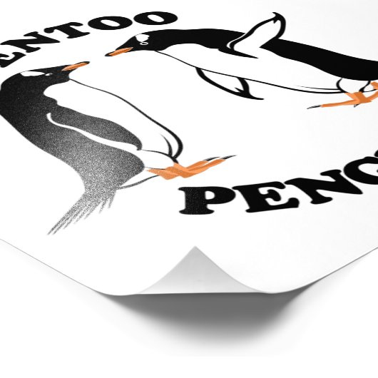 Gentoo Penguins Fotodruck (Ecke)