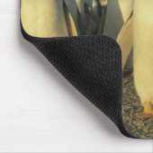 Gentoo Penguins, (Pygoscelis papua), Falkland Mousepad (Ecke)