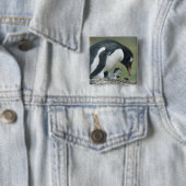 Gentoo Penuin, (Pygoscelis papua), Falkland Button (Beispiel)