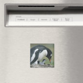 Gentoo Penuin, (Pygoscelis papua), Falkland Magnet (In Situ (Geschirrspüler))
