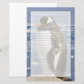 Gentoo-Pinguin Briefpapier (Vorne/Hinten)