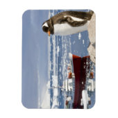 Gentoo Pinguin Magnet (Vertikal)
