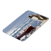 Gentoo Pinguin Magnet (Linke Seite)