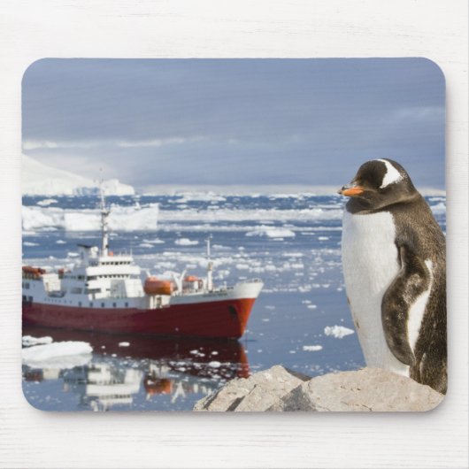 Gentoo Pinguin Mousepad (Vorne)