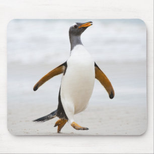 Gentoo Pinguin Mousepad