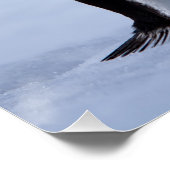 Gentoo Pinguin Poster (Ecke)