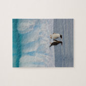 Gentoo Pinguin, Pygoscelis Papua, auf Gletschereis Puzzle (Horizontal)