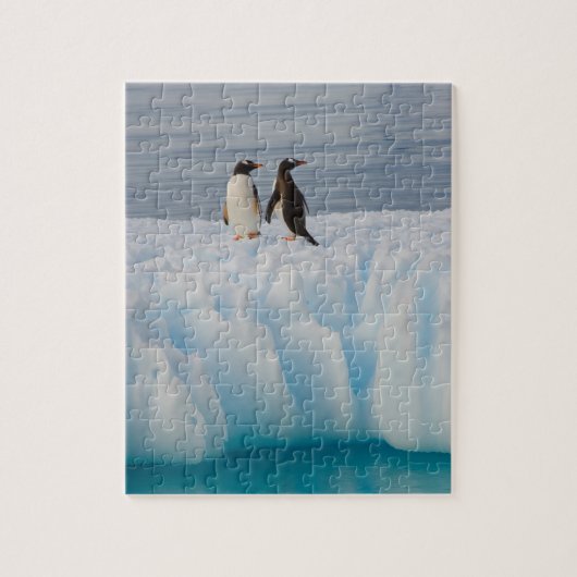 Gentoo Pinguin, Pygoscelis Papua, auf Gletschereis Puzzle (Vertikal)