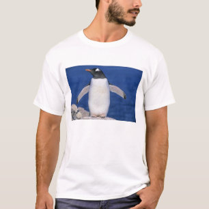 Gentoo-Pinguin Pygoscelis papua) Hafen T-Shirt