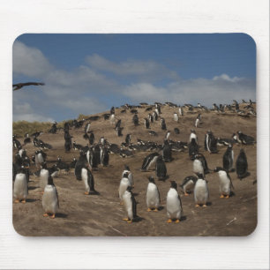 Gentoo-Pinguin (Pygoscelis papua)-Kolonie im Weste Mousepad