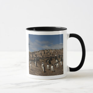 Gentoo-Pinguin (Pygoscelis papua)-Kolonie im Weste Tasse