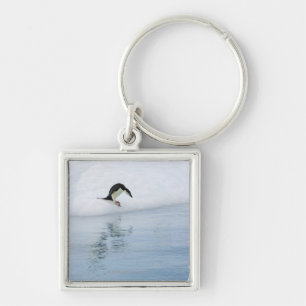 Gentoo Pinguin (Pygoscelis Papua) Schlüsselanhänger