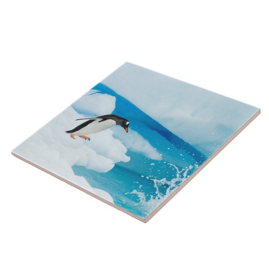 Gentoo Pinguin, Pygoscelis Papua, springt ab Fliese (Seite)