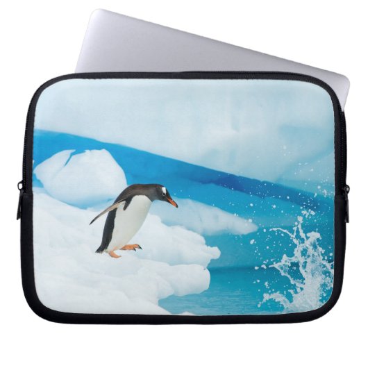 Gentoo Pinguin, Pygoscelis Papua, springt ab Laptopschutzhülle (Vorderseite)