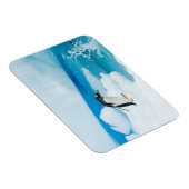 Gentoo Pinguin, Pygoscelis Papua, springt ab Magnet (Rechte Seite)