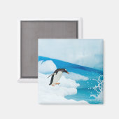 Gentoo Pinguin, Pygoscelis Papua, springt ab Magnet (Vorderseite/Rückseite)