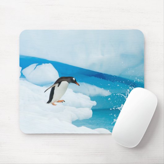 Gentoo Pinguin, Pygoscelis Papua, springt ab Mousepad (Mit Mouse)