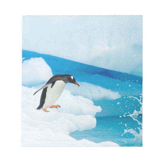Gentoo Pinguin, Pygoscelis Papua, springt ab Notizblock (Vorderseite)