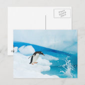 Gentoo Pinguin, Pygoscelis Papua, springt ab Postkarte (Vorne/Hinten)