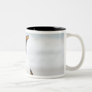 Gentoo Pinguin Zweifarbige Tasse