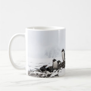 Gentoo Pinguine, Antarktis, Vernadsky Station. Kaffeetasse