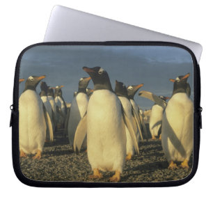 Gentoo-Pinguine, (Pygoscelis papua), Falkland Laptopschutzhülle