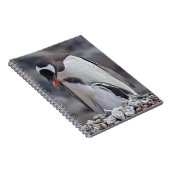 Gentoo und Chick Notebook Notizblock (Rechte Seite)
