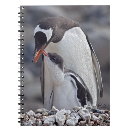 Gentoo und Chick Notebook Notizblock (Vorderseite)