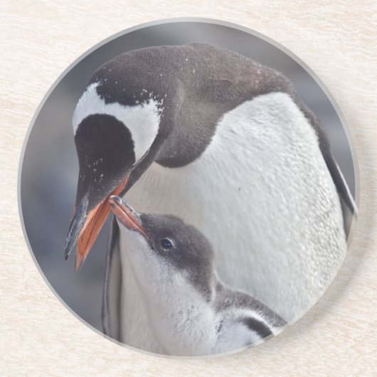 Gentoo und Chick Untersetzer (Vorne)