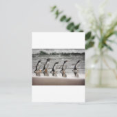 Gentoos auf dem Strand Postkarte (Stehend Vorderseite)