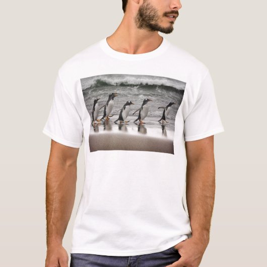 Gentoos auf dem Strand T-Shirt (Vorderseite)