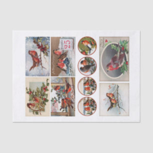 Genuine (nicht KI) Robin Bird Ephemera Fussy Cuts Seidenpapier