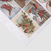 Genuine (nicht KI) Robin Bird Ephemera Fussy Cuts Seidenpapier (Ausschnitt)