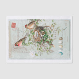 Genuine (nicht KI) Vintage Viktorianische Vogelkrä Seidenpapier