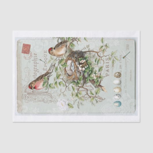 Genuine (nicht KI) Vintage Viktorianische Vogelkrä Seidenpapier (Vorderseite)