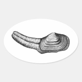 Geoduck Clam (Schwarz-Weiß-Abbildung) Ovaler Aufkleber