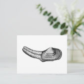 Geoduck Clam (Schwarz-Weiß-Abbildung) Postkarte (Stehend Vorderseite)