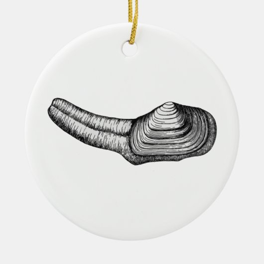 Geoduck Muschel (Schwarzweiss-Illustration) Keramikornament (Vorne)