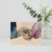 Geodude Postkarte (Stehend Vorderseite)