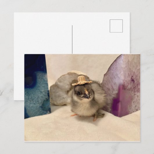 Geodude Postkarte (Vorne/Hinten)