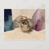 Geodude Postkarte (Vorderseite)