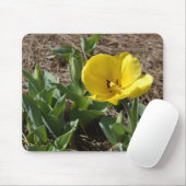 Geöffnete gelbe Narzisse Mousepad (Mit Mouse)