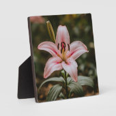 Geöffnete Rosa Lily Fotoplatte (Vorderseite)